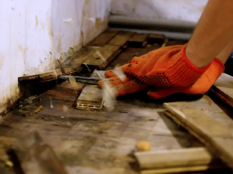 Mold abatement and prevention Altamonte Springs FL